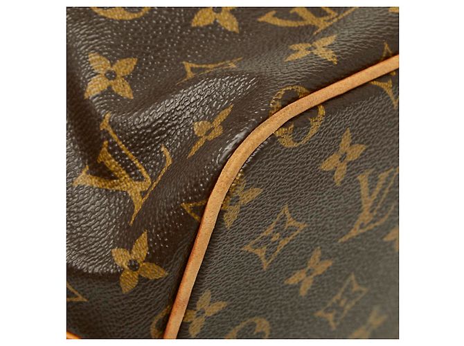 Bolso Louis Vuitton Monogram Palermo PM Castaño Negro - vista 9