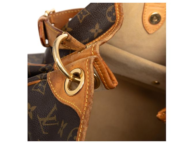 Louis Vuitton Marrone Monogram Galliera PM - vista 6