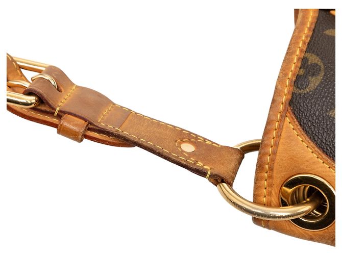 Louis Vuitton Marrone Monogram Galliera PM - vista 8