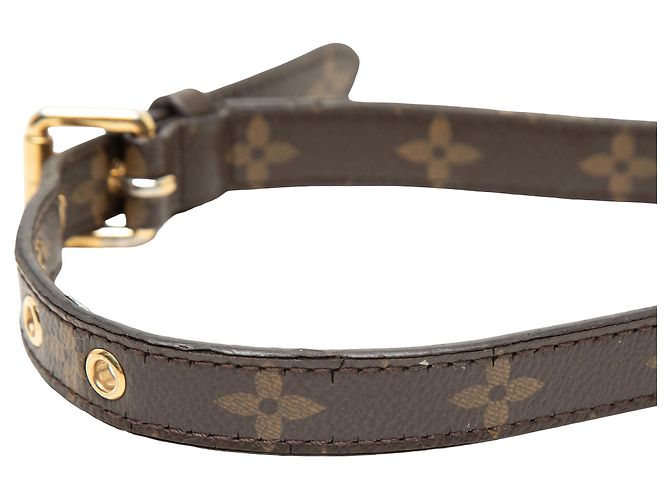 Louis Vuitton Marrone Monogram Pallas MM - vista 7