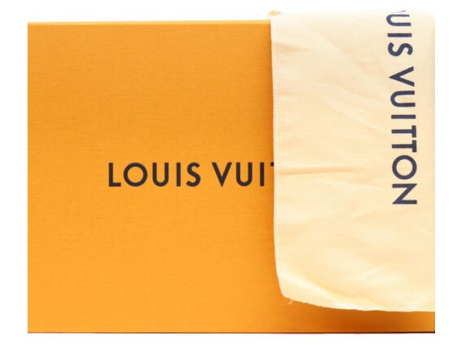 Bolsa de ombro Louis Vuitton x Takashi Murakami Monogram Cherry Speedy Bandoulière 20 Marrom - vista 13