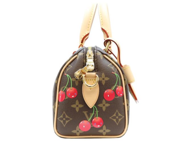 Bolsa de ombro Louis Vuitton x Takashi Murakami Monogram Cherry Speedy Bandoulière 20 Marrom - vista 4