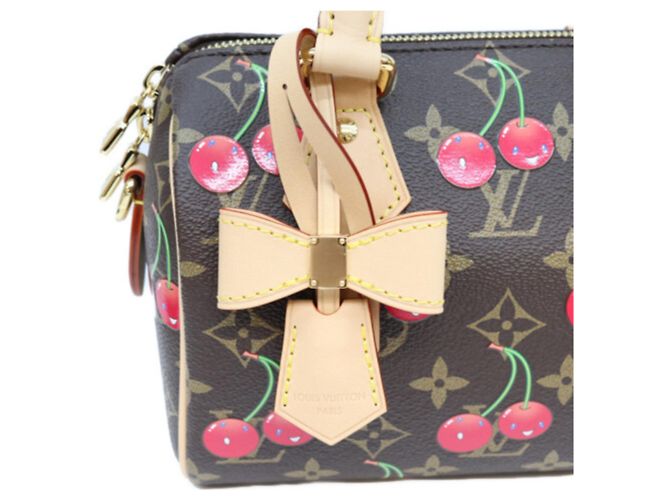 Bolsa de ombro Louis Vuitton x Takashi Murakami Monogram Cherry Speedy Bandoulière 20 Marrom - vista 8