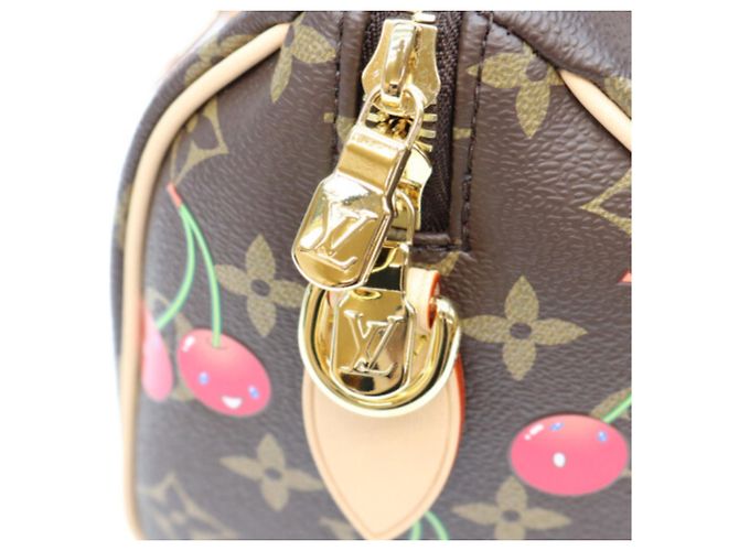 Bolsa de ombro Louis Vuitton x Takashi Murakami Monogram Cherry Speedy Bandoulière 20 Marrom - vista 9