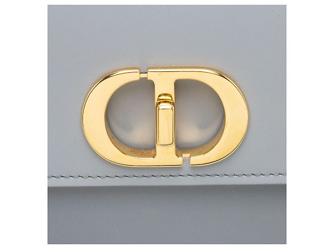 Piccola borsa a tracolla 30 Montaigne Avenue in pelle di vitello Dior Grigio - vista 10