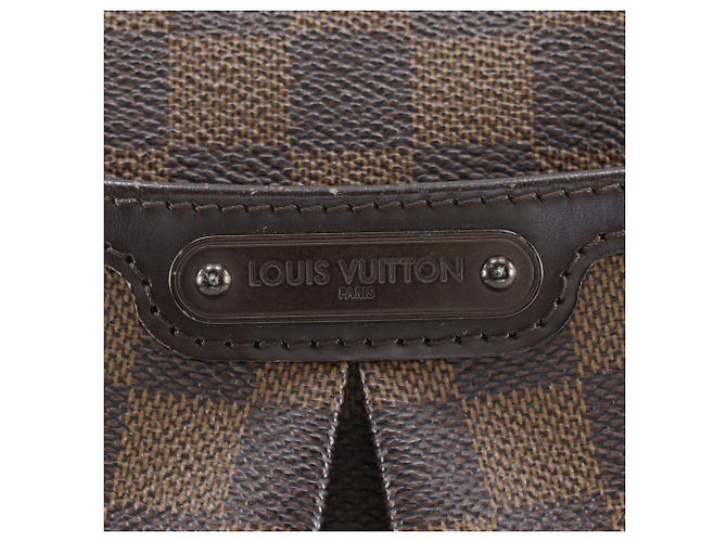 Borsa a Spalla Louis Vuitton Bloomsbury PM Marrone - vista 17