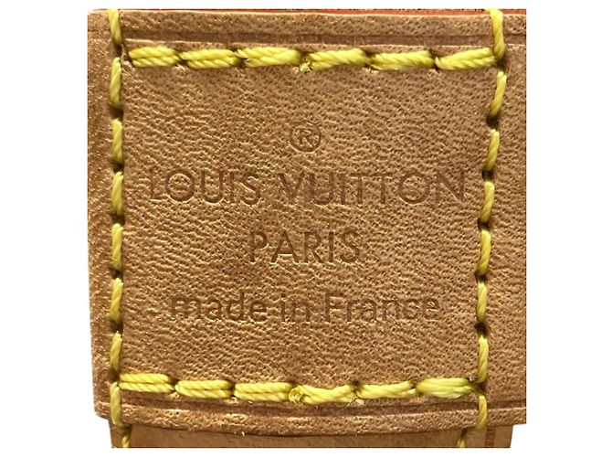 Borsa Louis Vuitton Alma PM Marrone - vista 4