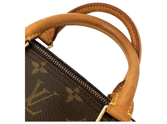 Borsa Louis Vuitton Speedy 40 Marrone - vista 9