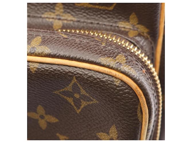 Borsa a Spalla Louis Vuitton Amazon Marrone Monogramma - vista 10
