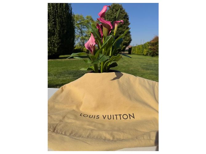 Louis Vuitton Jamais Aquarelle Edizione Limitata Marrone Rosa Bianco - vista 13