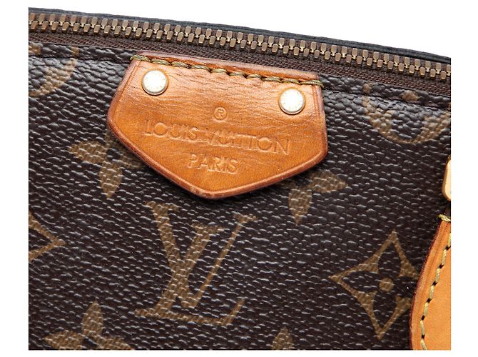 Louis Vuitton Marrone Monogram Turenne PM - vista 5