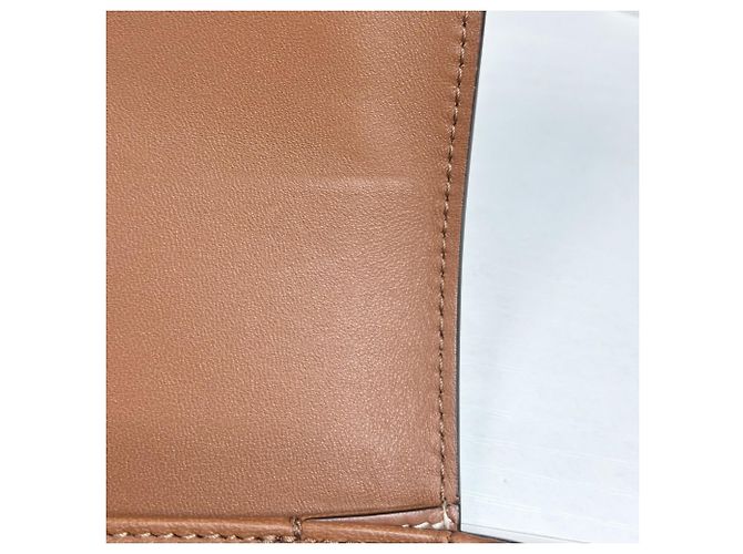 Céline Borsa a Spalla Celine Teen Triomphe Marrone Bianco - vista 8