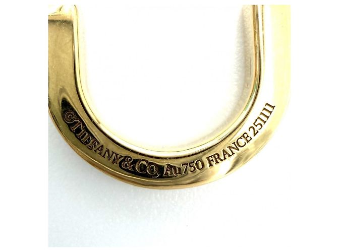 Collana con pendente Lock Small da donna Tiffany & Co. - vista 4