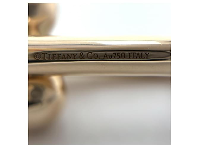 Orecchini Hardware Large Link da donna Tiffany & Co. - vista 4
