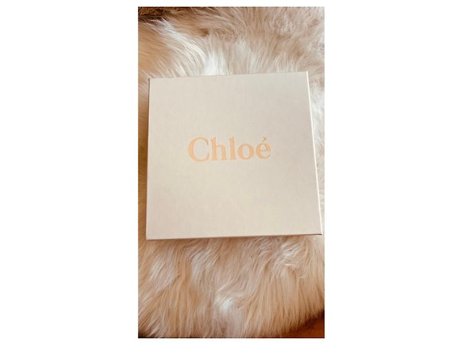 Chloé Mini Borsa a Secchiello Pelle Scamosciato Beige - vista 13