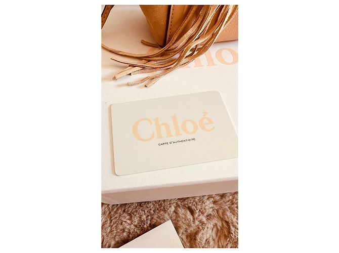 Chloé Mini Borsa a Secchiello Pelle Scamosciato Beige - vista 9