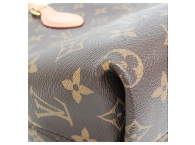 Borsa Louis Vuitton Monogram Boesi NM PM Marrone - vista 5