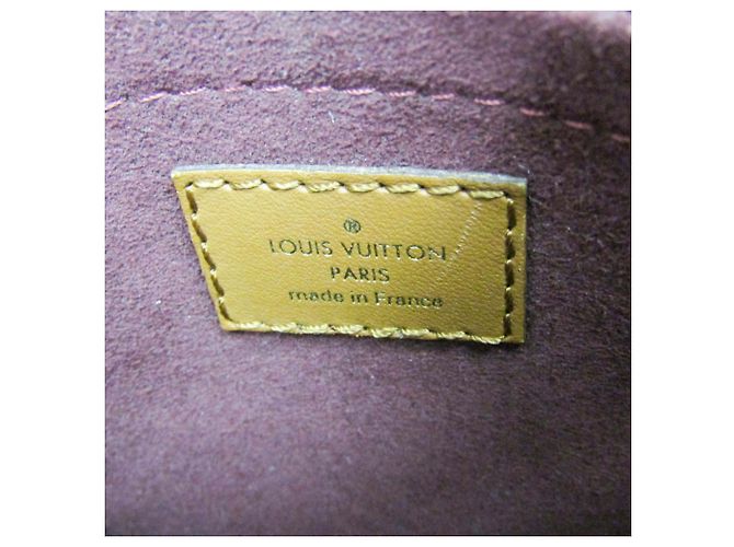 Louis Vuitton Monogram Jacquard Petite Sac Plat Marrone Bordò - vista 11