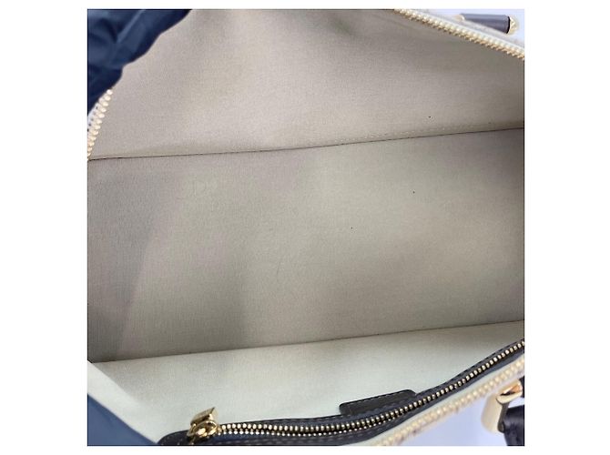Borsa lunga Louis Vuitton Alma in Khaki Cachi - vista 15