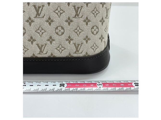 Borsa lunga Louis Vuitton Alma in Khaki Cachi - vista 4