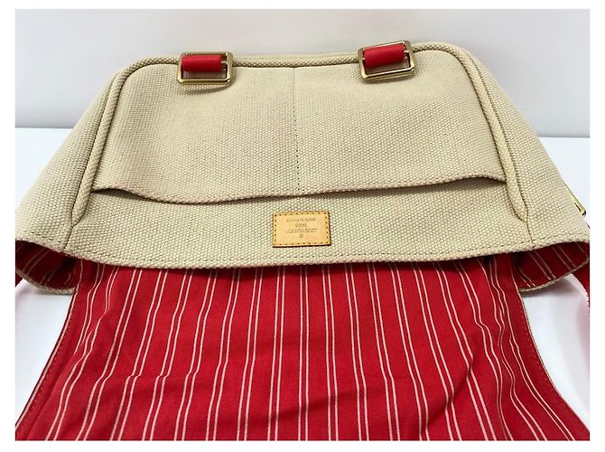 Borsa a Spalla Louis Vuitton Antigua Buzas PM Beige - vista 14
