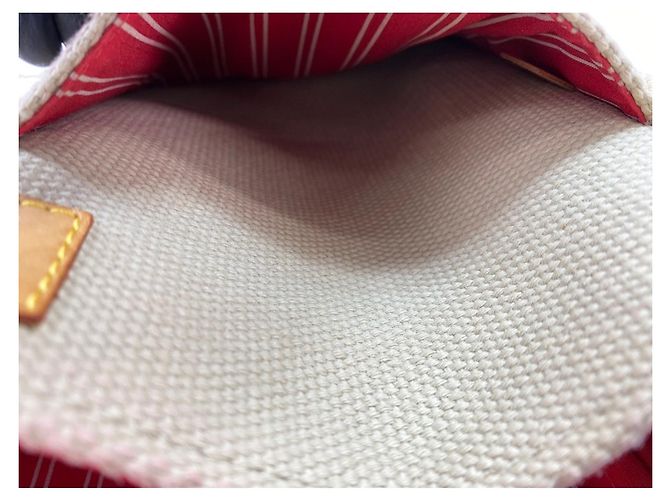 Borsa a Spalla Louis Vuitton Antigua Buzas PM Beige - vista 18