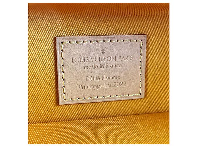 Louis Vuitton Saffron Leather Shoulder Bag Golden - view 12