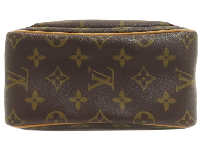 Borsa a Spalla Louis Vuitton Viva-Cite PM Monogramma - vue 4
