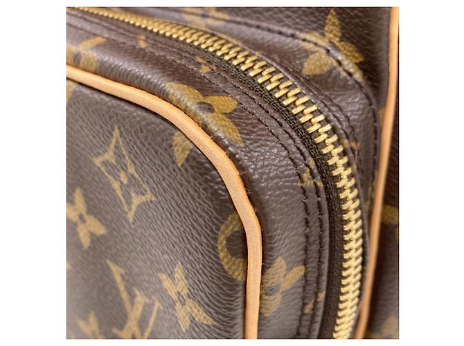 Borsa a tracolla Louis Vuitton Monogram Canvas Amazon Monogramma - vista 8