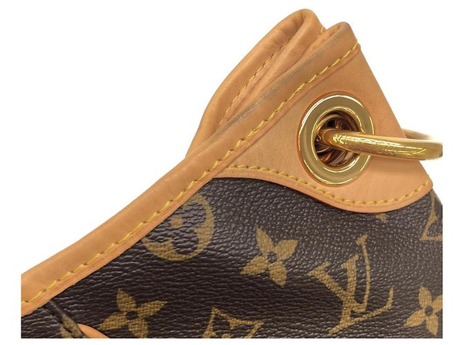 Borsa a Spalla Louis Vuitton Monogram Galliera PM Marrone - vista 4