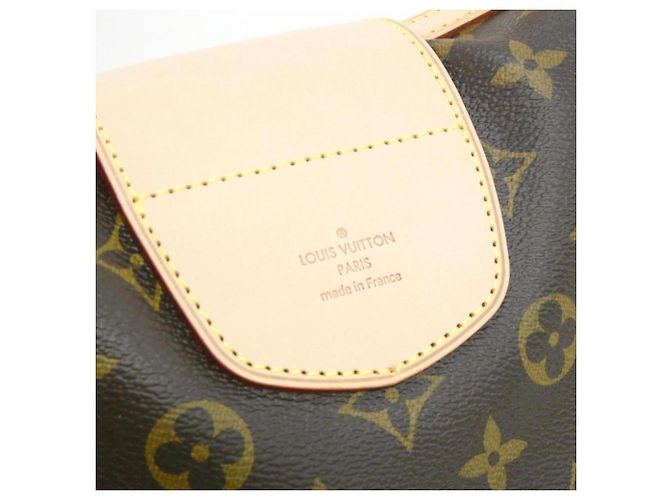 Borsa a Spalla Louis Vuitton Monogram Streza PM Marrone - vista 4