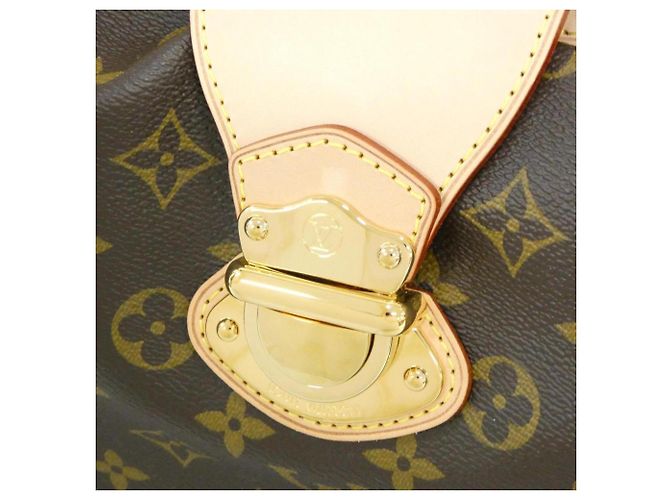 Borsa a Spalla Louis Vuitton Monogram Streza PM Marrone - vista 5