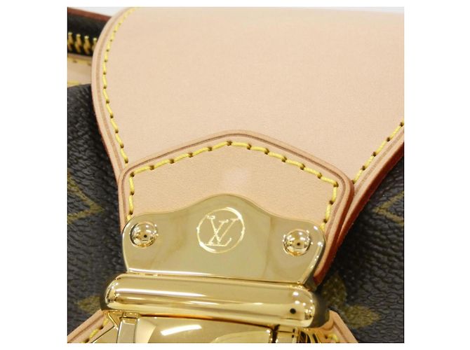 Borsa a Spalla Louis Vuitton Monogram Streza PM Marrone - vista 6