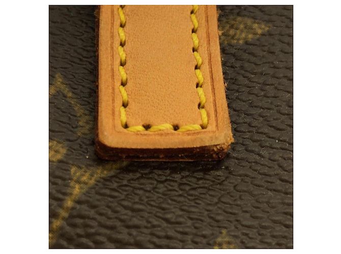 Borsa a Spalla Louis Vuitton Monogram Cite MM Marrone - vista 5