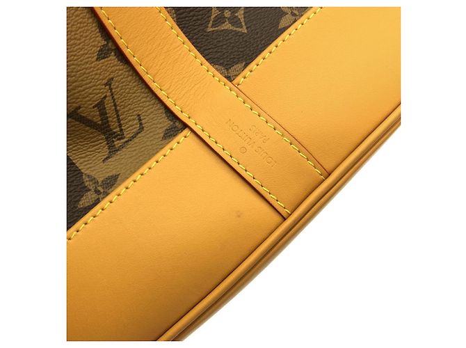 Borsa a tracolla Louis Vuitton Monogram Stripe Randonee Marrone - vista 5