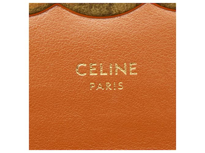 Céline Borsa a tracolla e a spalla Celine Triomphe Mini Claude Marrone Nero - vista 8