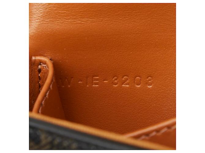 Céline Borsa a tracolla e a spalla Celine Triomphe Mini Claude Marrone Nero - vista 9