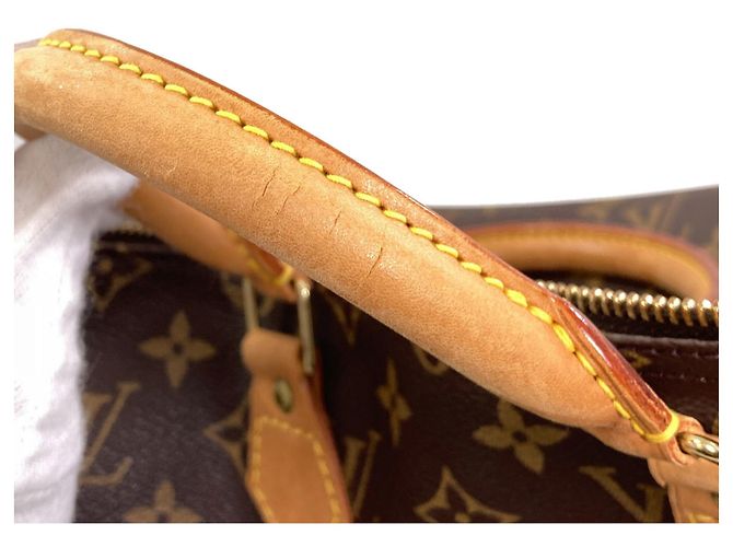 Borsa Louis Vuitton Monogram Canvas Speedy 35 Monogramma - vista 14