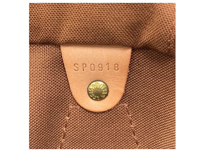 Borsa Louis Vuitton Monogram Canvas Speedy 35 Monogramma - vista 7
