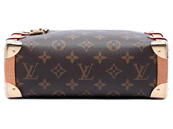 Louis Vuitton Marrone Monogram Side Trunk MM - vista 3