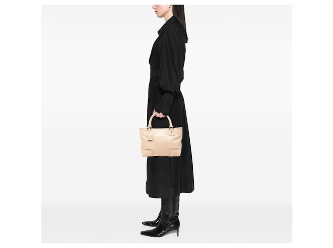 LOEWE Tote Fusta 30 in pelle marrone Beige - vista 7