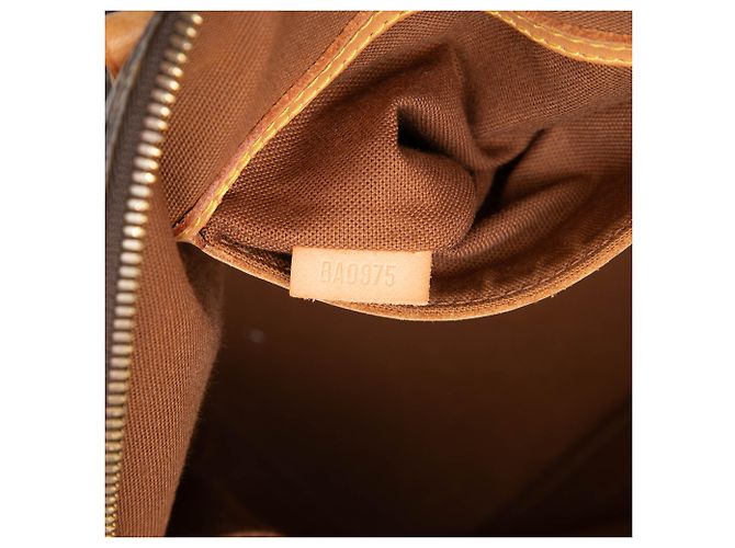 Louis Vuitton Marrone Monogram Alma PM - vista 6