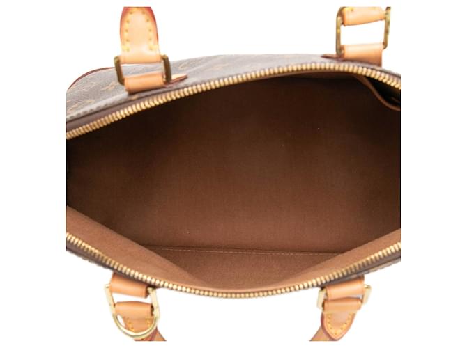 Louis Vuitton Marrone Monogram Alma PM - vista 4
