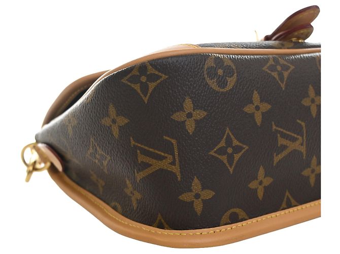 Louis Vuitton Marrone Monogram Diane - vista 10