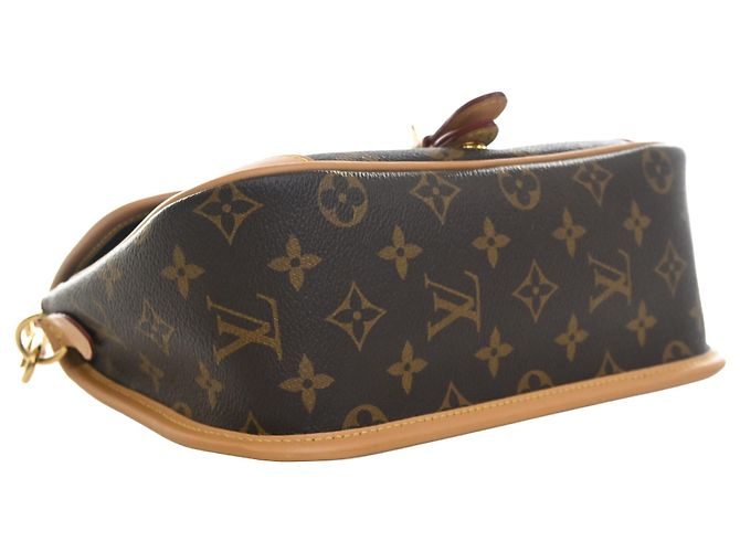 Louis Vuitton Marrone Monogram Diane - vista 13