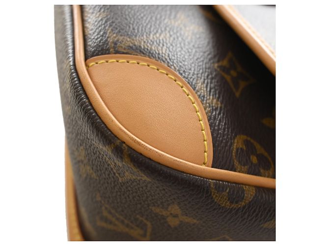 Louis Vuitton Marrone Monogram Diane - vista 6