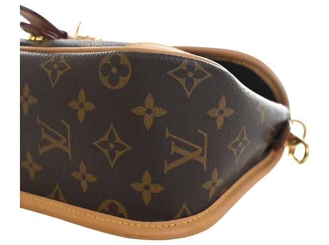 Louis Vuitton Marrone Monogram Diane - vista 9