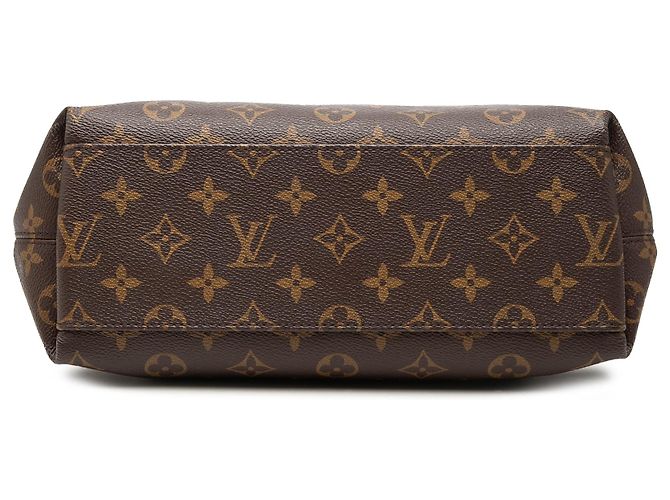 Louis Vuitton Borsa Tuileries Besace Monogram Marrone - vista 3