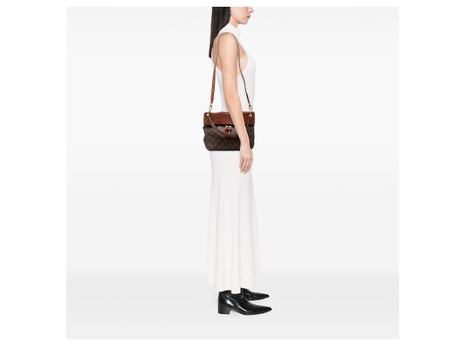 Louis Vuitton Borsa Tuileries Besace Monogram Marrone - vista 6