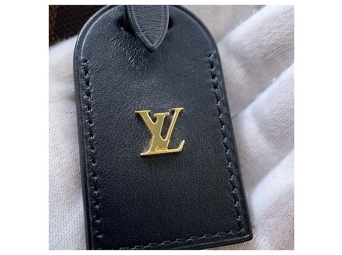 Borsa Louis Vuitton Damier Ebene Odeon Tote PM Nero - vista 16